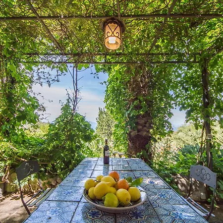 Casa Strelizie * Terrasini