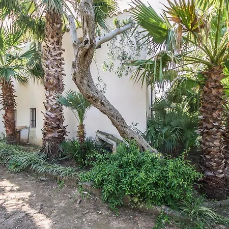 Casa Strelizie Terrasini